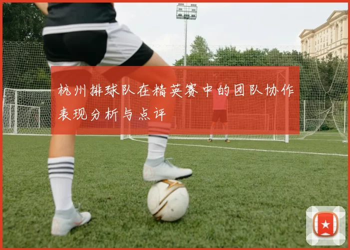 杭州排球队在精英赛中的团队协作表现分析与点评