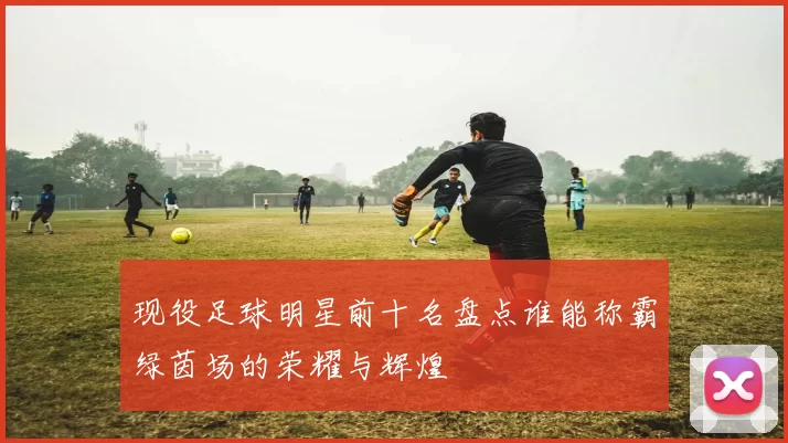 现役足球明星前十名盘点谁能称霸绿茵场的荣耀与辉煌