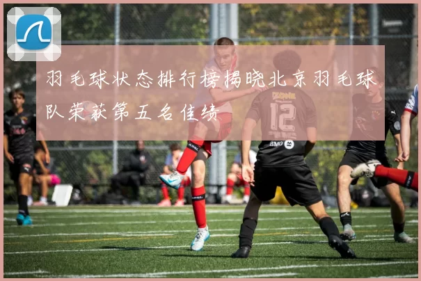 羽毛球状态排行榜揭晓北京羽毛球队荣获第五名佳绩