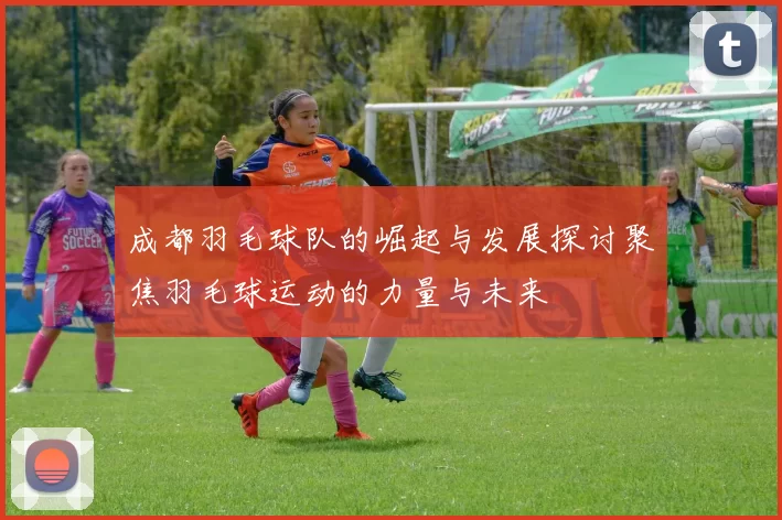 成都羽毛球队的崛起与发展探讨聚焦羽毛球运动的力量与未来