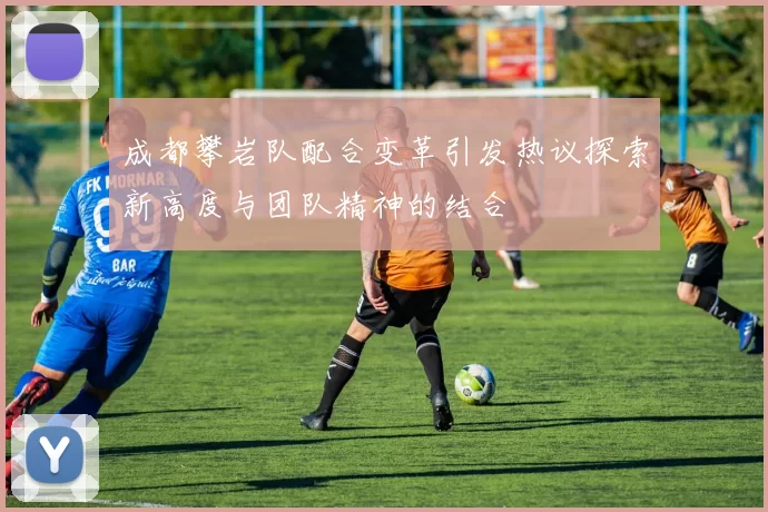 成都攀岩队配合变革引发热议探索新高度与团队精神的结合