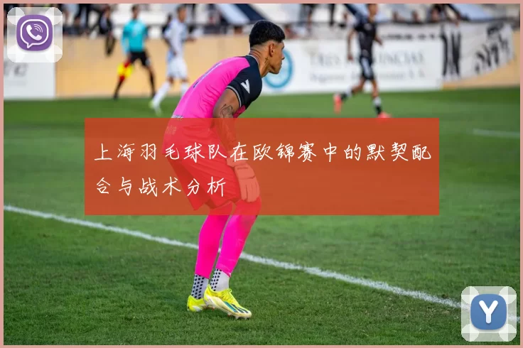 上海羽毛球队在欧锦赛中的默契配合与战术分析