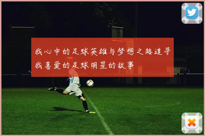 我心中的足球英雄与梦想之路追寻我喜爱的足球明星的故事