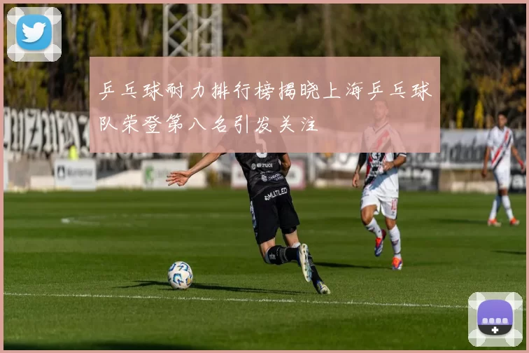 乒乓球耐力排行榜揭晓上海乒乓球队荣登第八名引发关注
