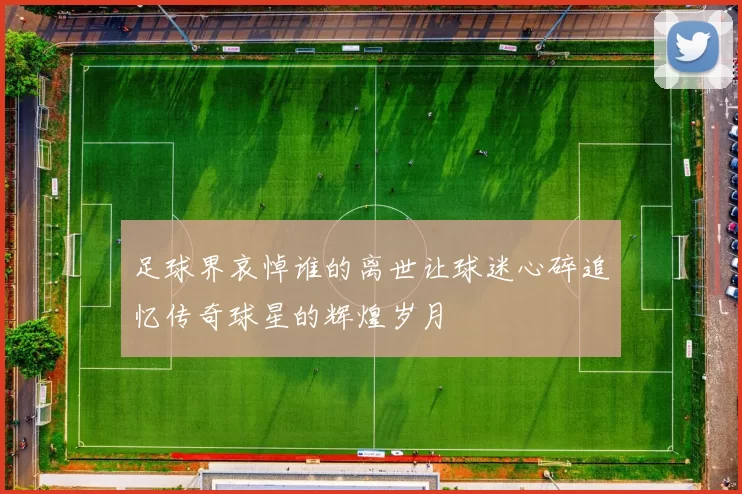 足球界哀悼谁的离世让球迷心碎追忆传奇球星的辉煌岁月