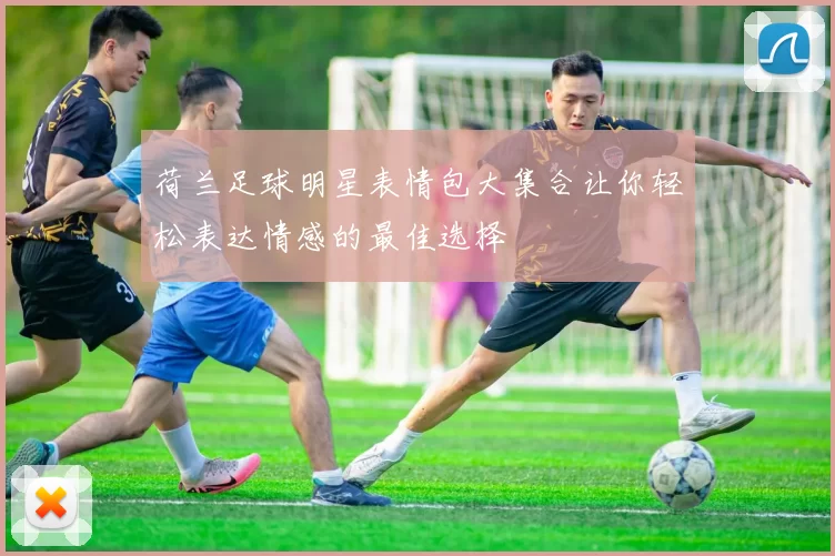 荷兰足球明星表情包大集合让你轻松表达情感的最佳选择