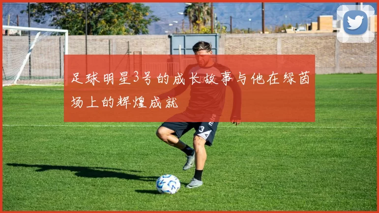 足球明星3号的成长故事与他在绿茵场上的辉煌成就