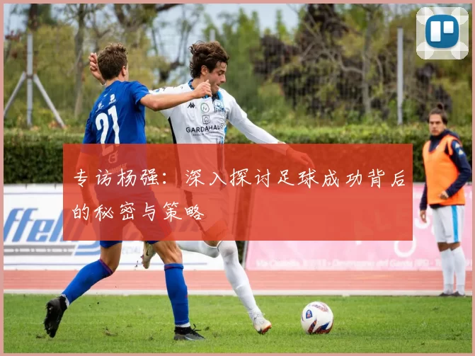 专访杨强：深入探讨足球成功背后的秘密与策略