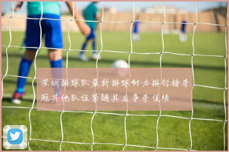 深圳排球队最新排球耐力排行榜夺冠其他队伍紧随其后争夺佳绩