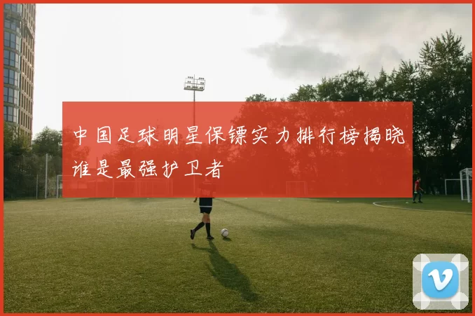 中国足球明星保镖实力排行榜揭晓谁是最强护卫者