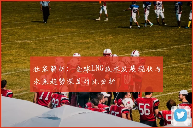 独家解析：全球LNG技术发展现状与未来趋势深度对比分析