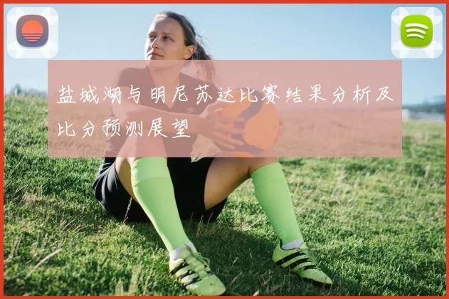 盐城湖与明尼苏达比赛结果分析及比分预测展望