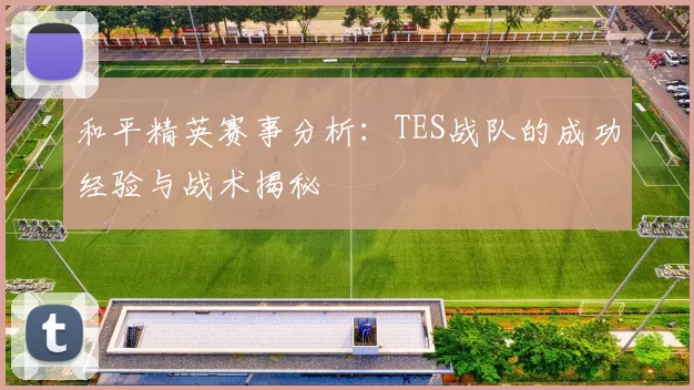 和平精英赛事分析：TES战队的成功经验与战术揭秘