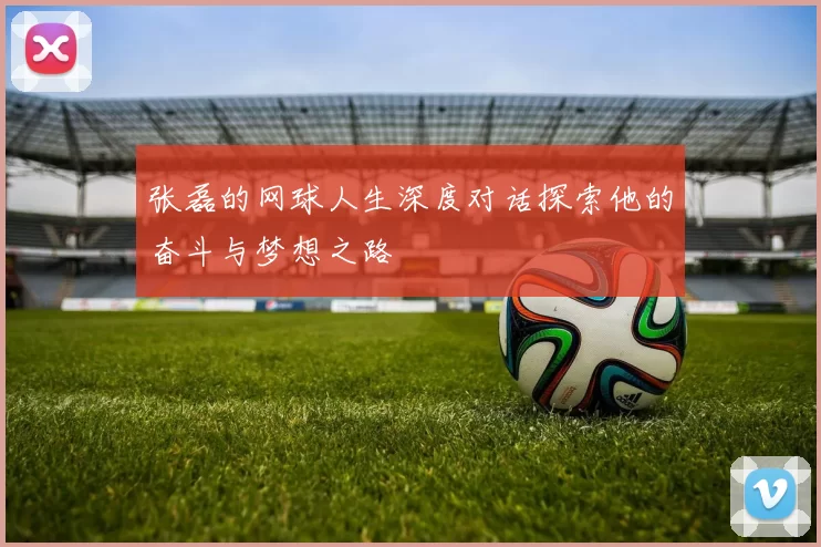 张磊的网球人生深度对话探索他的奋斗与梦想之路