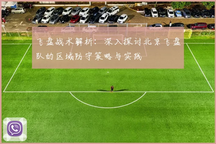 飞盘战术解析：深入探讨北京飞盘队的区域防守策略与实践