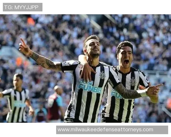 埃弗顿对阵纽卡斯尔精彩足球直播全程回顾与分析